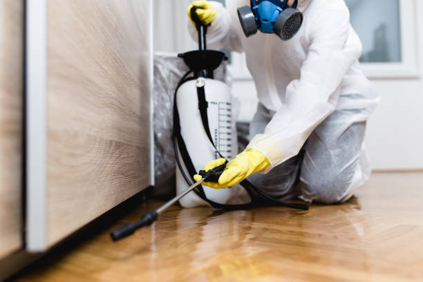 Best Pest Control Near Me  in London, CA