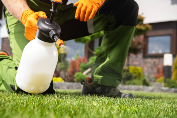 Best Ant Control Services  in London, CA