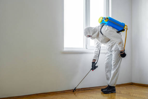 Best Mosquito Control Services  in London, CA
