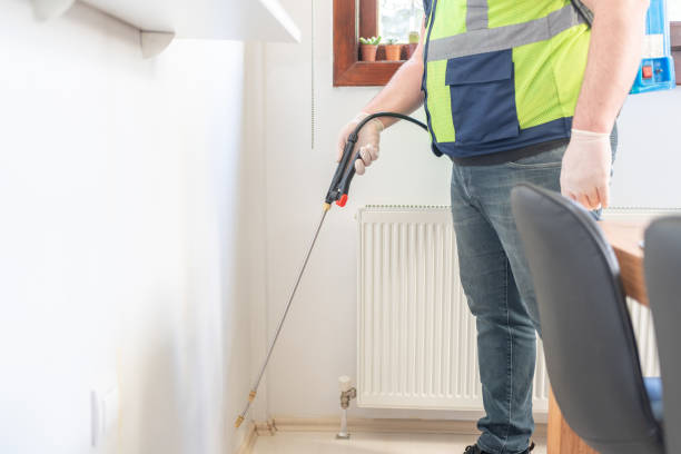 Best Wasp Removal Services  in London, CA