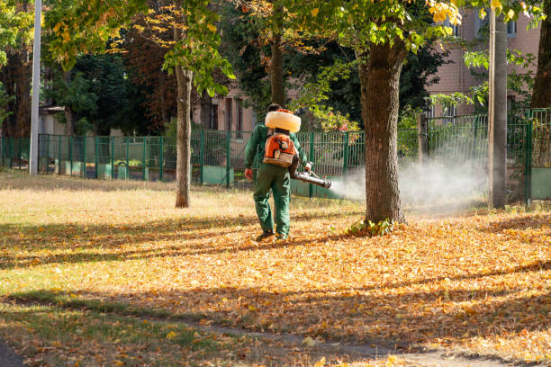 Best Bed Bug Extermination  in London, CA