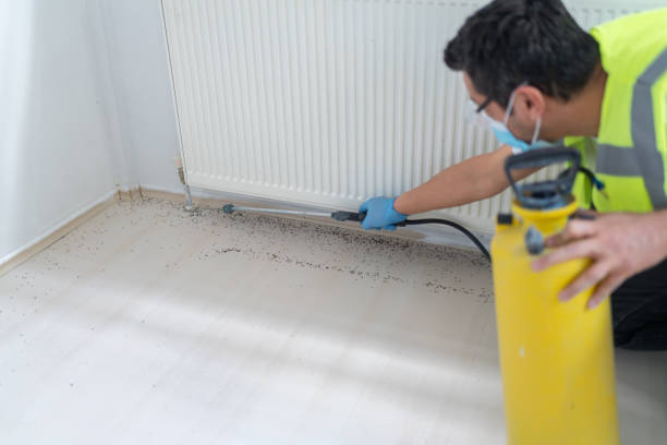 Best Best Pest Control Companies  in London, CA